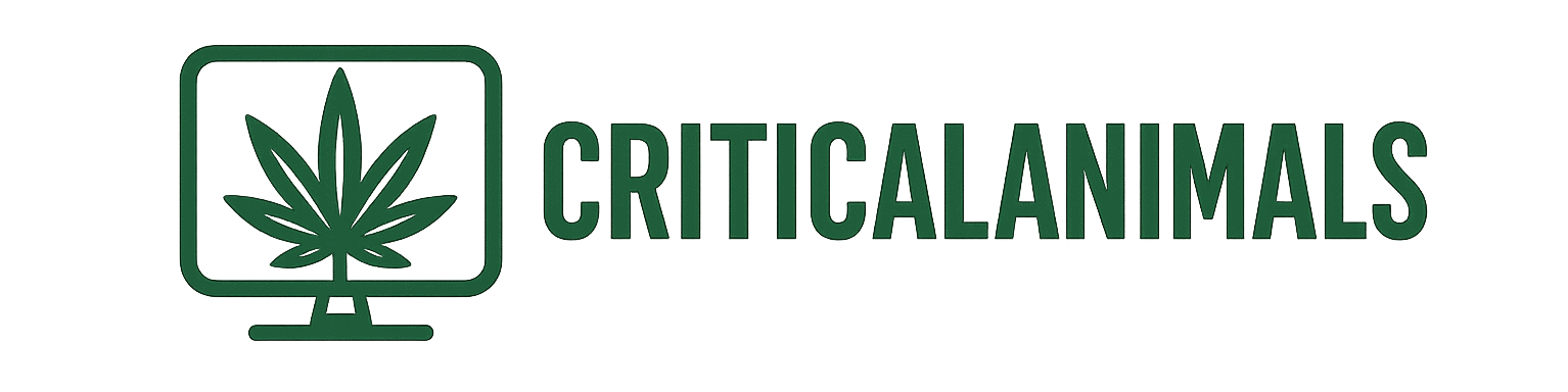 Canada's Online Weed Dispensary | Web Buy Cannabis & Marijuana Edibles